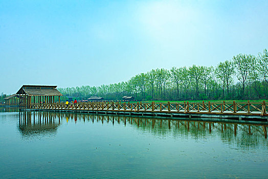 江苏,姜堰市,溱湖湿地,公园,生态,自然,动物