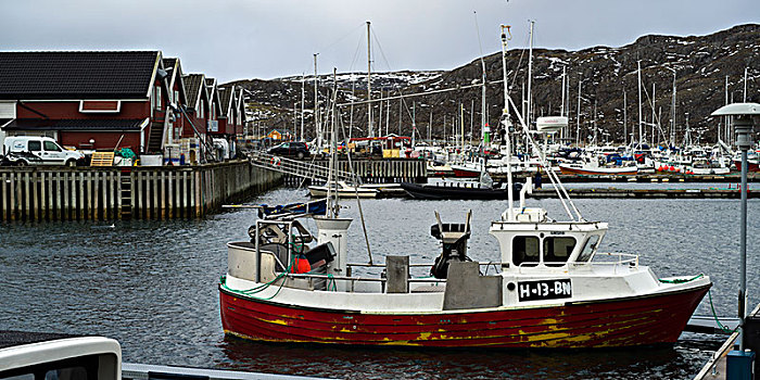 渔船,港口,诺尔兰郡,挪威
