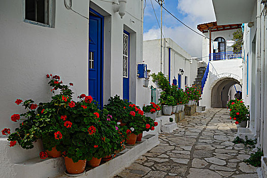 街景,房子,蓝色,门,天竺葵,罐,正面,山村,希腊