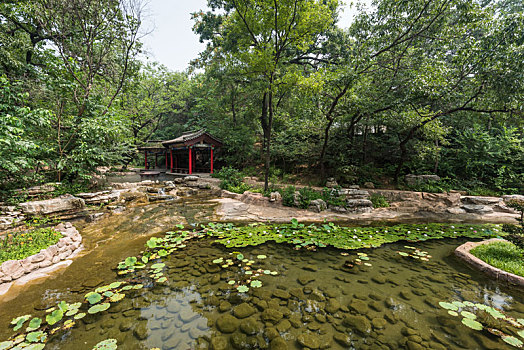 公园荷花池树林假山古建筑