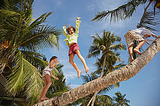 兄弟,姐妹,跳跃,棕榈树,岛屿,马来西亚