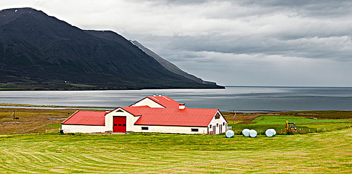 冰岛,谷仓,沿岸,农田,山,背景