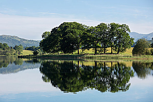 倒影,图像,树,海岸线,反射,平和,湖,湖区,坎布里亚,英格兰