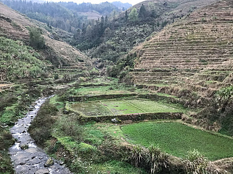 溪流,梯田,乡村