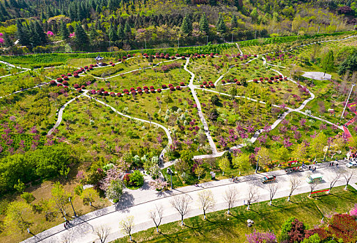 秦岭山国家植物园