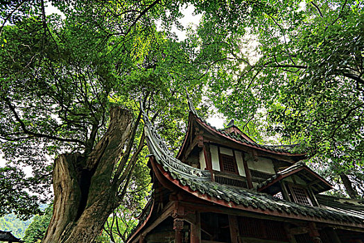 成都,嵩州市大明寺