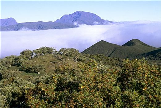 留尼汪岛,地区