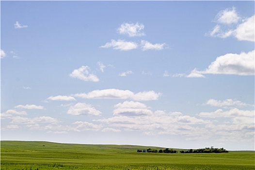 草原,天空,风景