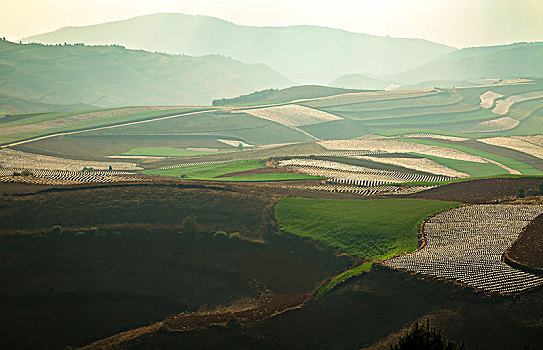 田地