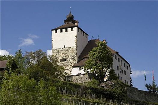 城堡,高处,莱茵河谷,瑞士