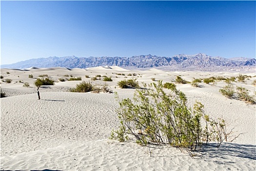 死亡谷国家公园,沙丘,靠近