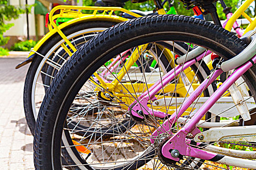 彩色,自行车,站立,排,停车场,待租