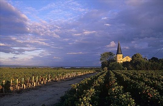城堡,梅克多葡萄酒,法国