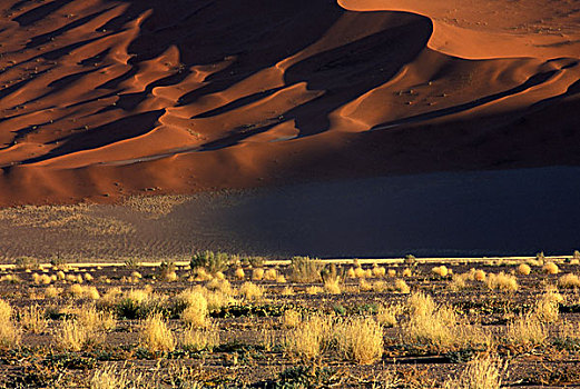 非洲,纳米比亚,纳米比沙漠,国家公园,索苏维来地区,沙丘