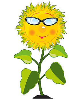 卡通,植物,向日葵