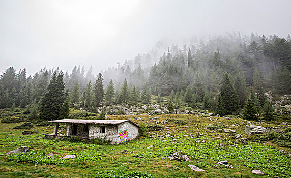 小屋,木头