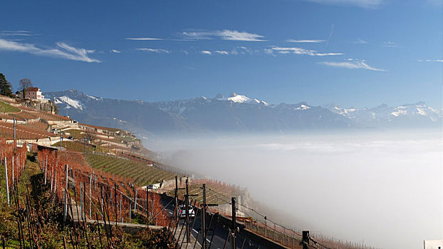 雾,上方,日内瓦湖