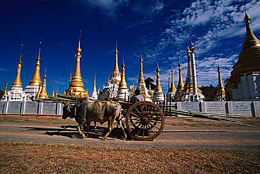 缅甸,正面