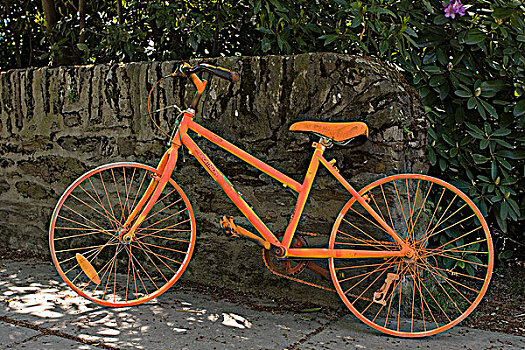 橙色,自行车,街道