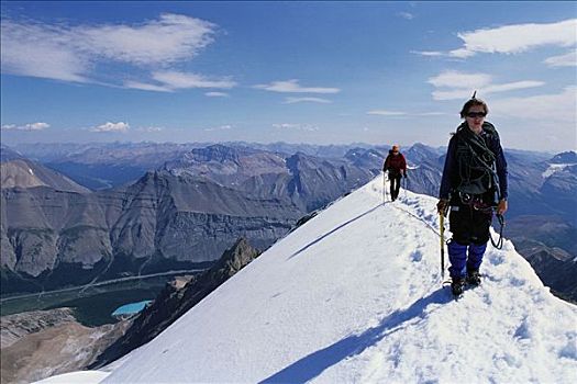 攀登者,山,阿萨巴斯卡,哥伦比亚冰原,加拿大