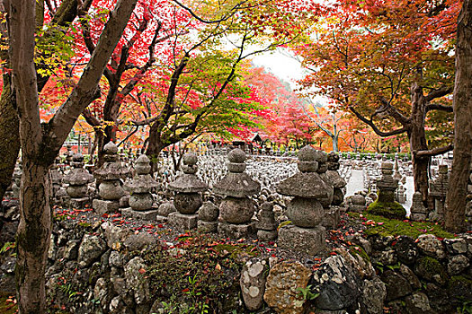 石头,塔,庙宇,京都,日本