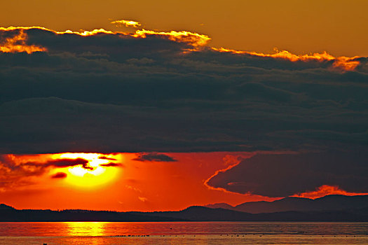 日落,云量,上方,鸬鹚,岛屿,温哥华岛,北方,不列颠哥伦比亚省,加拿大