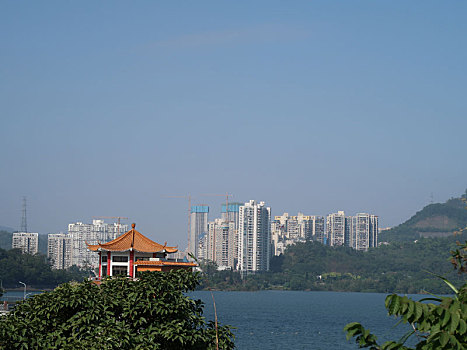 深圳东湖