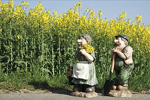 农民,农妇,小雕像,正面,油菜地
