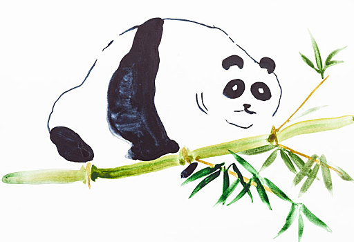 熊猫,竹子,白色背景,纸