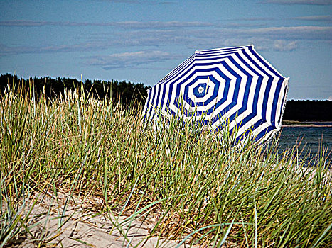 条纹,伞,海滩