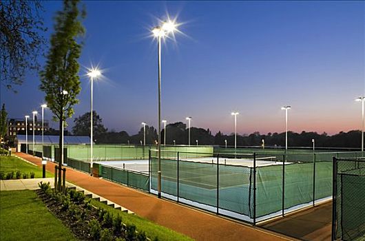 国家网球中心,草地,网球,联系,总部,网球场,黄昏,展示