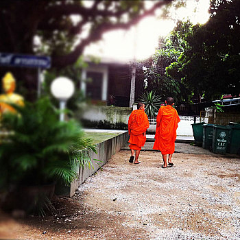 佛教,僧侣