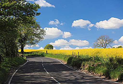 道路,春天,南,约克郡