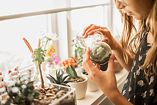 女孩,护理,植物,晴朗,窗台