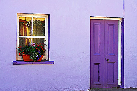 紫色,房子,花,盒子,窗户,半岛,西部,科克市,芒斯特,区域,乡村,科克郡,爱尔兰