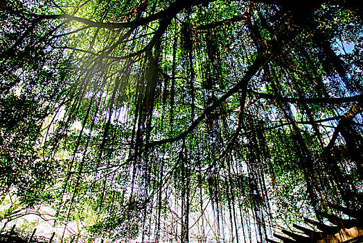 赣州八镜公园风景