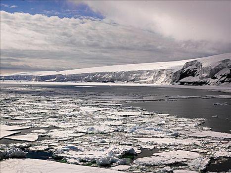 局部,冰河,富兰克林,岛屿,南极