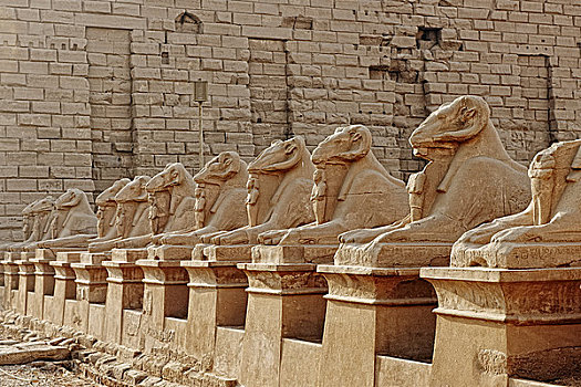 狮身人面像,卡尔纳克神庙,埃及,非洲