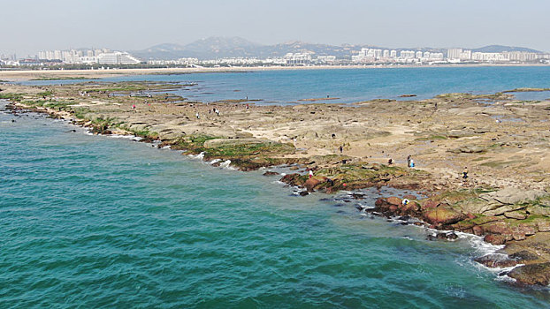 太公岛迎来天文大潮,市民登岛赶海拾贝乐享生活