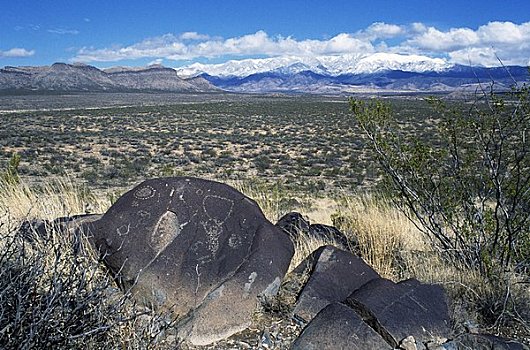 美国,新墨西哥,州立公园,岩刻,山脉,背景