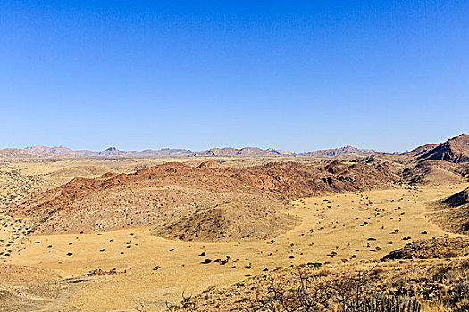 支流,山谷,河,干燥,农场,纳米布沙漠,纳米比亚,非洲