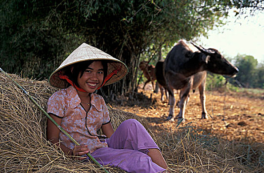 亚洲,越南,西贡,郊区,越南人,女孩,锥形,帽子,干草堆