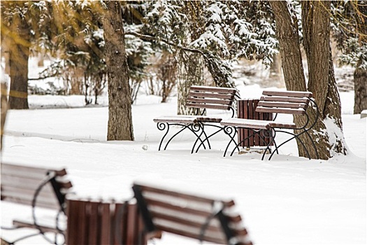 冬季风景,公园,长椅,前景