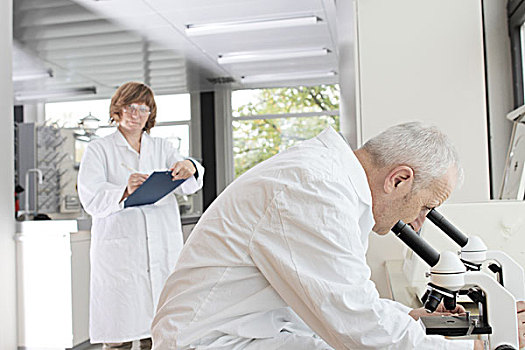 科学家,工作,实验室,男人,看穿,显微镜,女人,记录