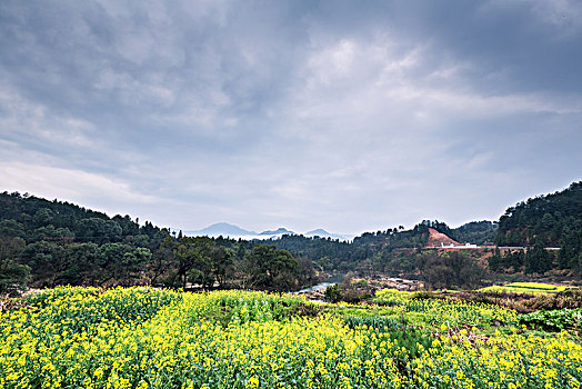 画里乡村婺源