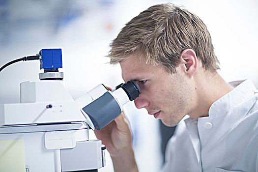 男性,科学家,显微镜,实验室