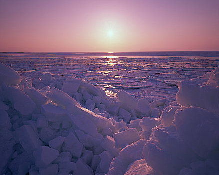 日出,海冰