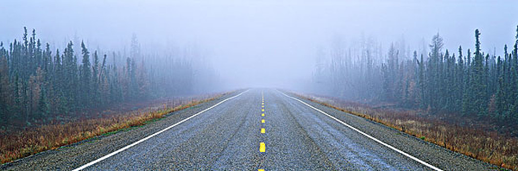 阿拉斯加公路,雾,靠近,堡垒,不列颠哥伦比亚省,加拿大
