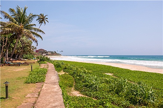 热带沙滩,斯里兰卡