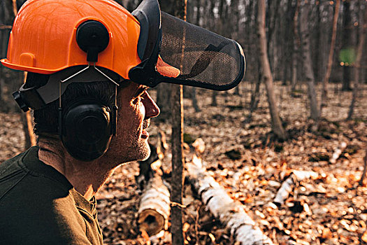 男性,头像,伐木工,橙色,安全帽,注视,日光,秋日树林